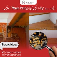 Fumigation Services,Termite control,Deemak control,Dengue Spray, Pest