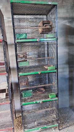 iron Cage