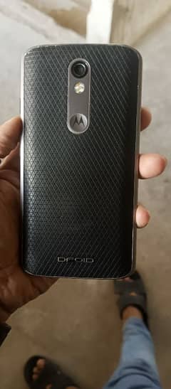 MOTOROLA