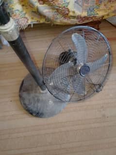 fans