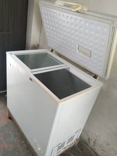 SG deep freezer 03016981498