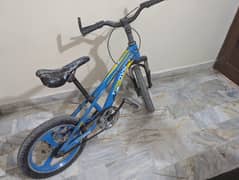 Kids
