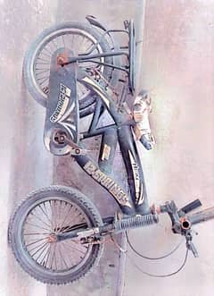 Bicycle Sale Urgent