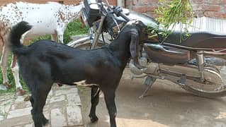khubsurat
