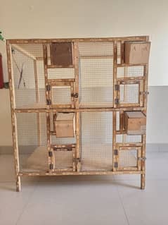 Birds cage