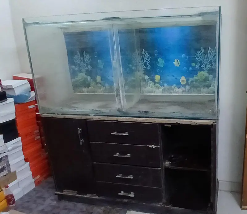 Aquarium For Urgent Sale 0-321-220-2622