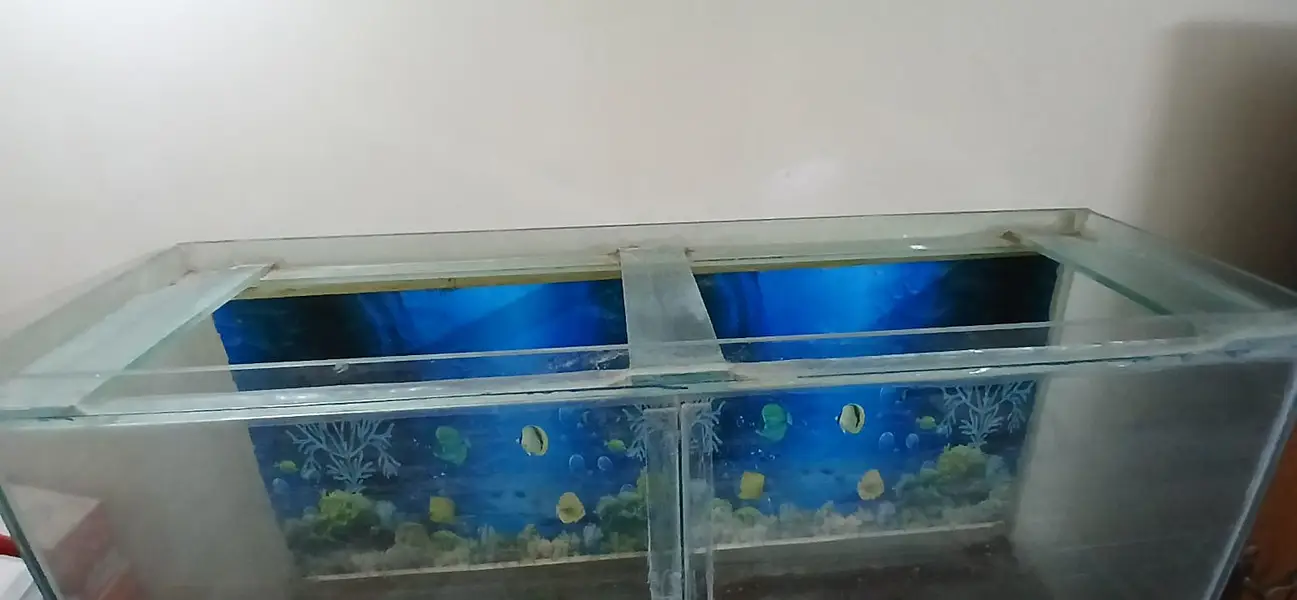 Aquarium For Urgent Sale 0-321-220-2622 — photo 2