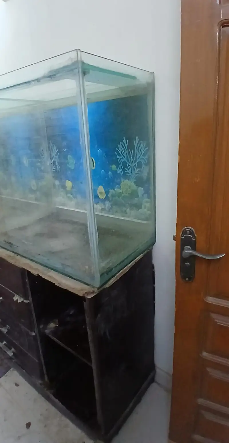 Aquarium For Urgent Sale 0-321-220-2622 — photo 3