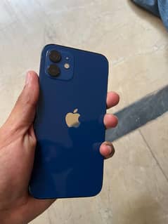 iPhone 12