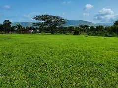 25 Kanal Land Available in Chakri.