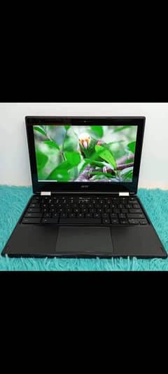 Acer