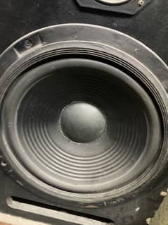 12 inch professional speakers (complete)
