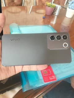 Vico