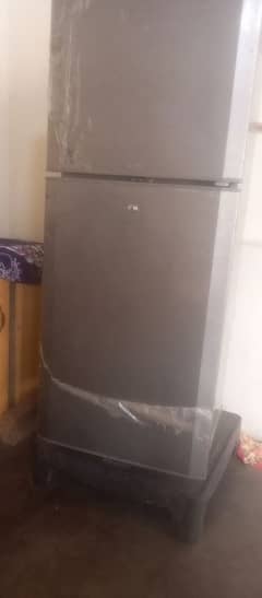 PEL company ki hai medium size ha
