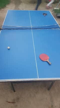 tennis table