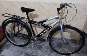 sports bicycle size 26