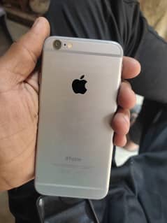 iPhone 6