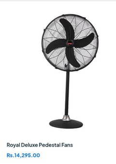 Royal Pedestal Fan copper Brand new with 2 years warranty