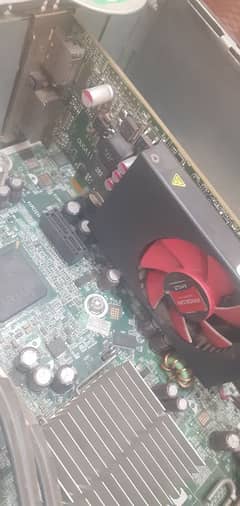 AMD