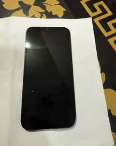 iPhone 12 Pro Max Factory