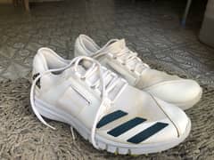 Adidas cricket spikes shoes