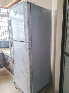 haier fridge full size(large)