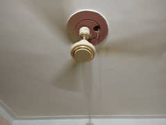 Royal fan lifetime warranty fan