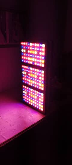 BESTVA LED Lights