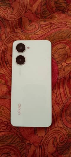 Vivo
