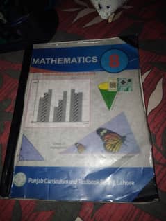 8 class mathematics