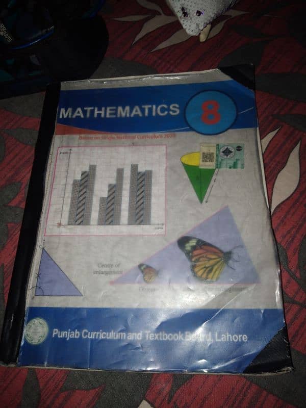 8 class mathematics 0