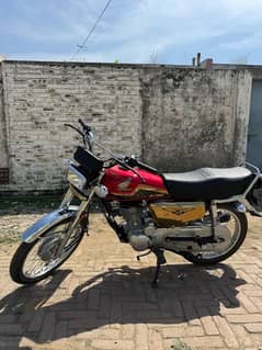 Honda 125 2024 punjab number lush
