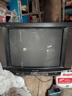 TV