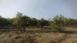 477 plot 10 MARLA