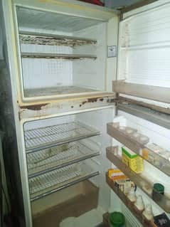 Dawlance medium size off fridge