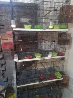 1.5 by 3 ka set for sale almost new cage