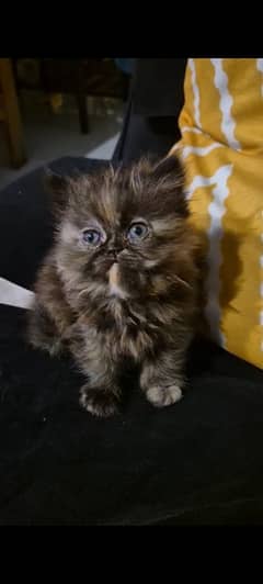 piki