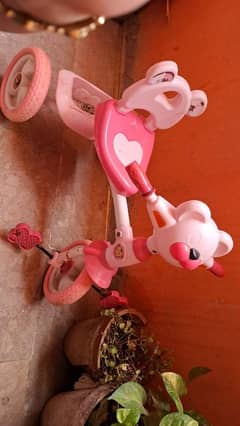 bay girl cycle