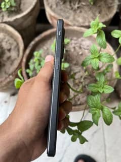 one plus ace 2v,pta,16+12 total 28gb ram/256 storage,