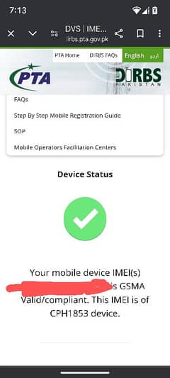 pixel 6a PTA approved dual sim physical and e sim