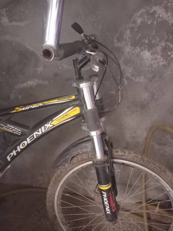 Shocks bycycle 1