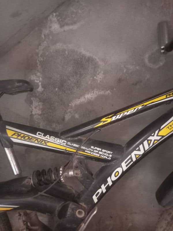 Shocks bycycle 2