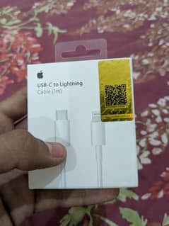 Apple 20W Original Adapter + Type-C to Type-C Cable (Used, Genuine)