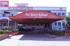school teacher female /cordinater female /helper female