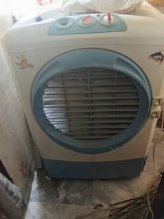 cooper cooler 03142993173