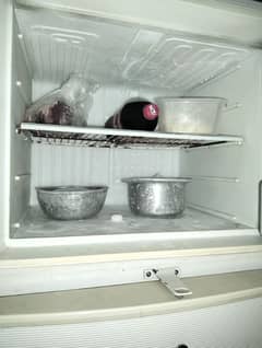 frige