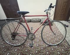 Sports bicycle