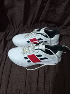 cricket spikes