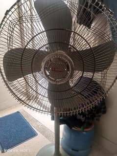 national fan