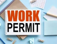 Dubai/Saudi Arabia/ Qatar work permit visa available here